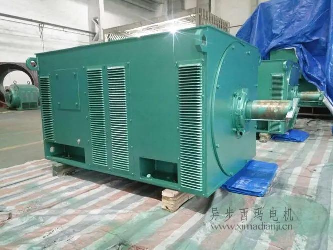 西瑪電機(jī)Y5603-10 560KW <a href=http://m.anquan0755.com/new/new-47-621.html target='_blank'><a href=http://m.anquan0755.com/new_tags_225.html target='_blank'>10kv高壓電機(jī)</a></a>